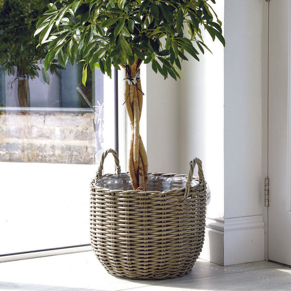 Salix Basket