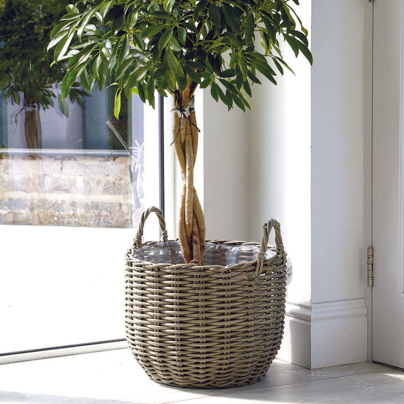 Salix Basket