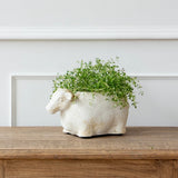 Sheep Flower Pot