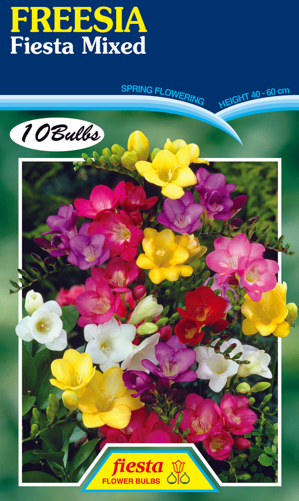 Freesia Single Mix 10 pack