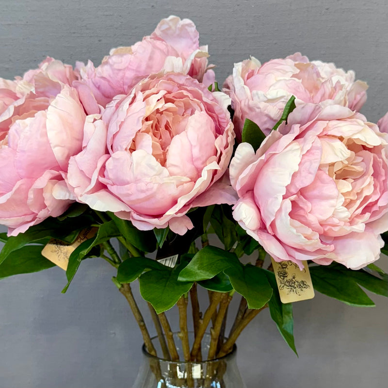 Artificial Single Peony Soft Pink