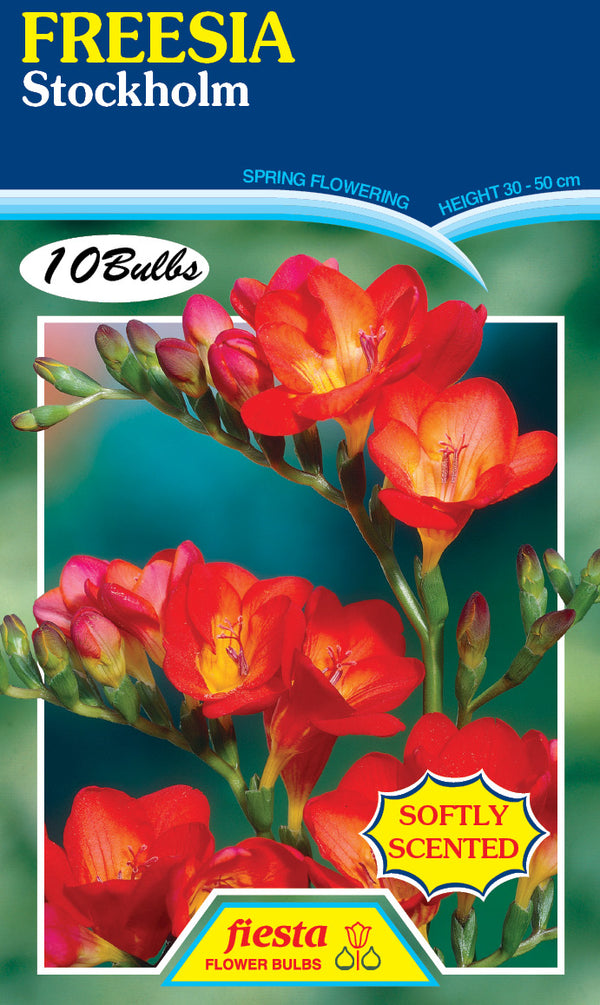 Freesia Stockholm