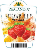 Strawberry Single Plant - Ventana