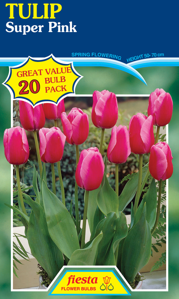 Tulip Super Pink 20 pack