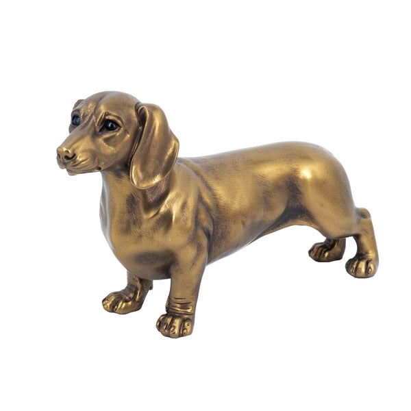 Gold Dog