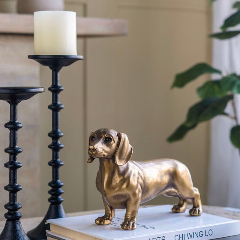 Gold Dog