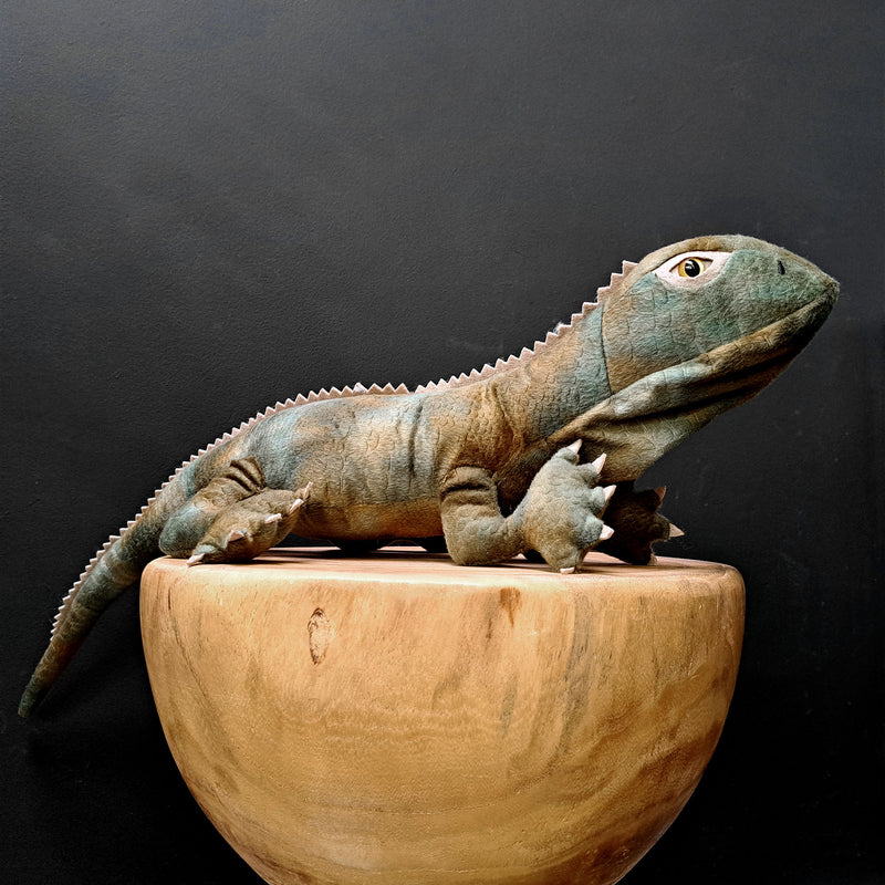 Trevor the Tuatara