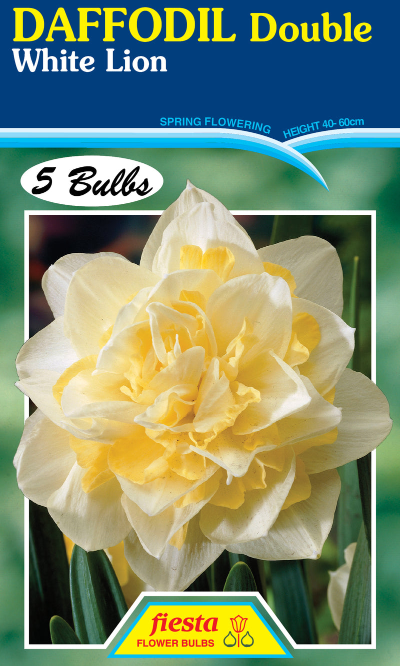 Daffodil Double White Lion