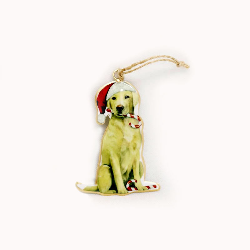Vintage | Sitting Golden Labrador | Hanger