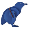 3D Korora - Little Blue Penguin