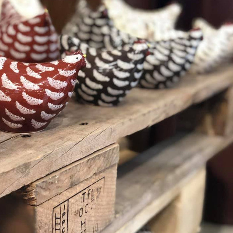 Moucheté | Hen | Small