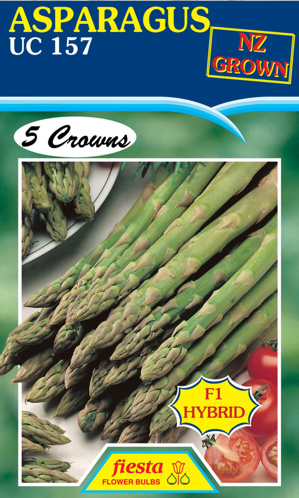 Asparagus 'UC 157'