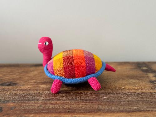 Wally the Tortoise