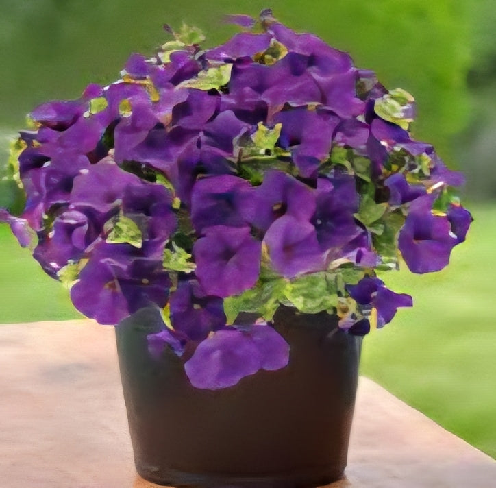 BeautiCal | Ocean Blue